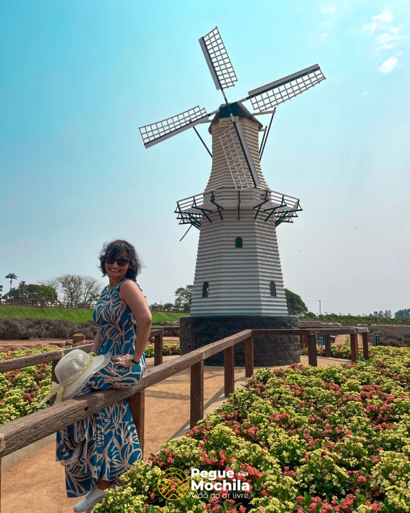 Na Cidades das Flores e Plantas